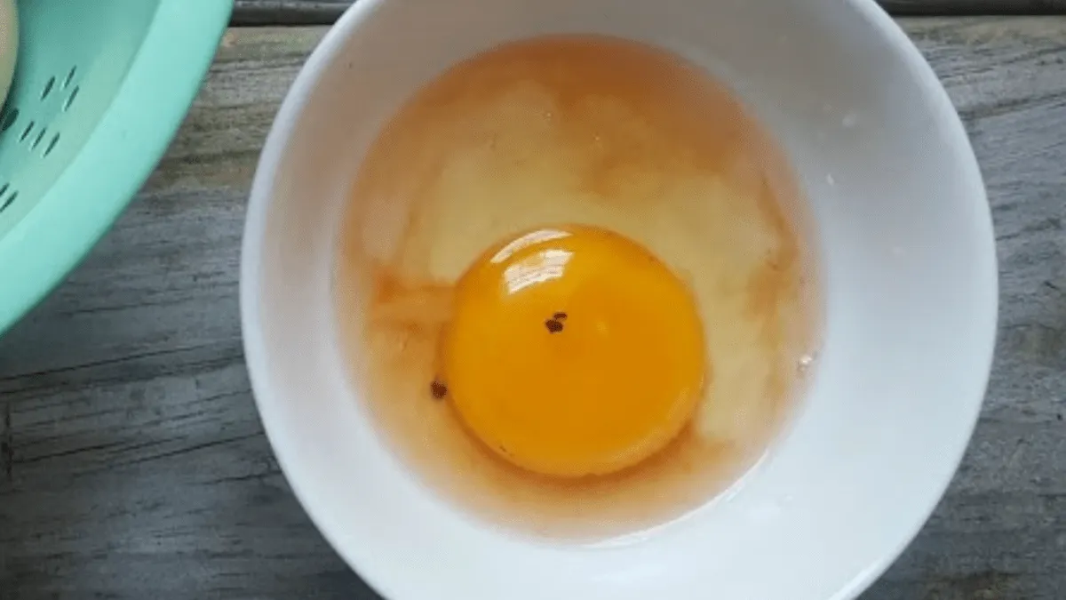 Röda fläckar i ägg: myt och verklighet