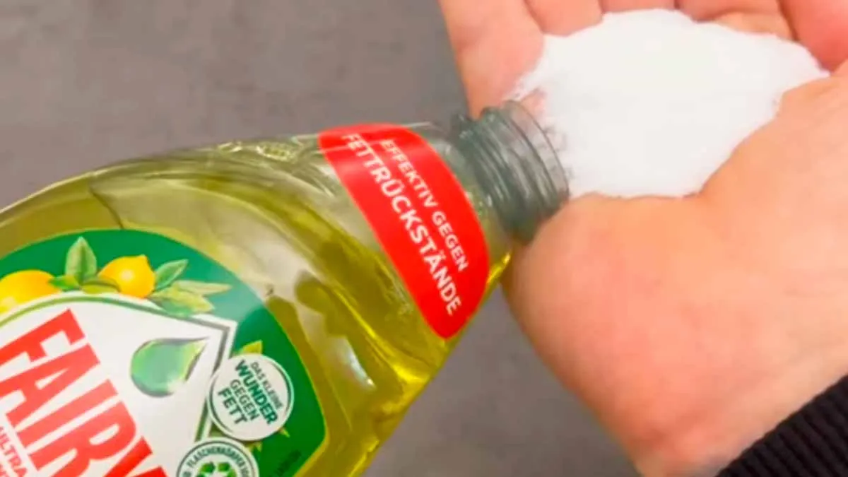 Upptäck ett enkelt husmorsknep – salt i diskmedel