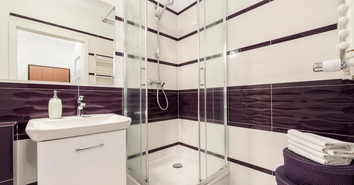 Framtidens "mänskliga tvättmaskin" landar i Japan