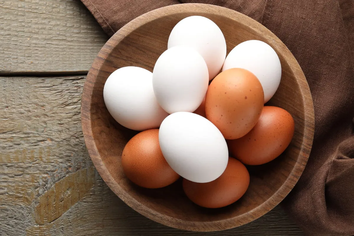 Varför hönsägg har olika färg