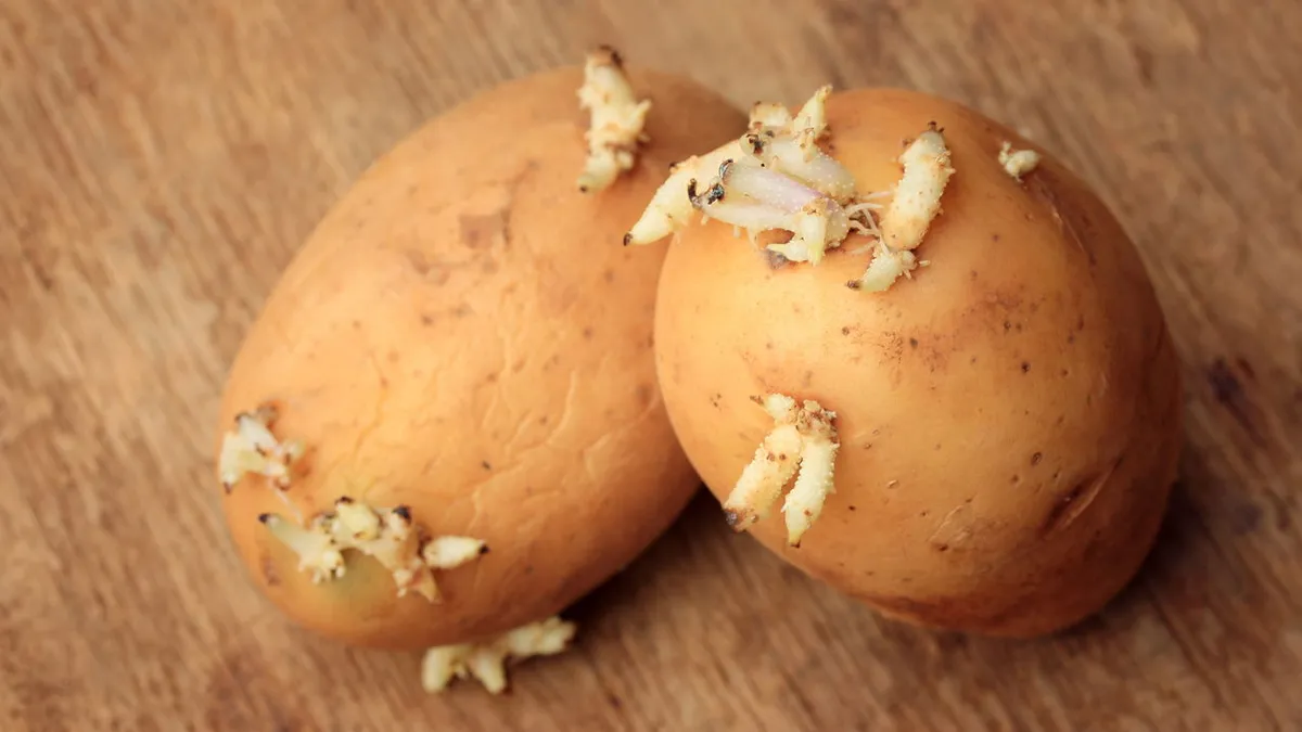 Upptäck det enkla tricket för att hålla potatis färsk i månader