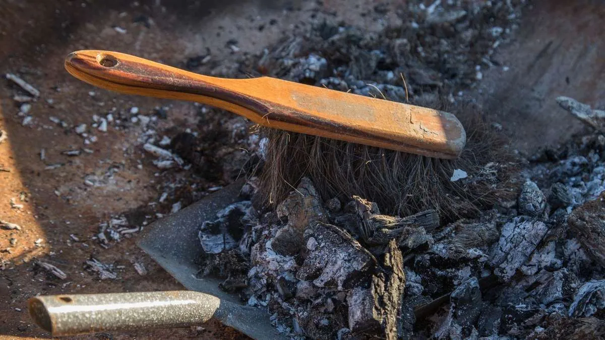 Du kanske slänger den , men askan kan vara en skatt i trädgården: trädgårdsmästare förklarar hur du använder träaska