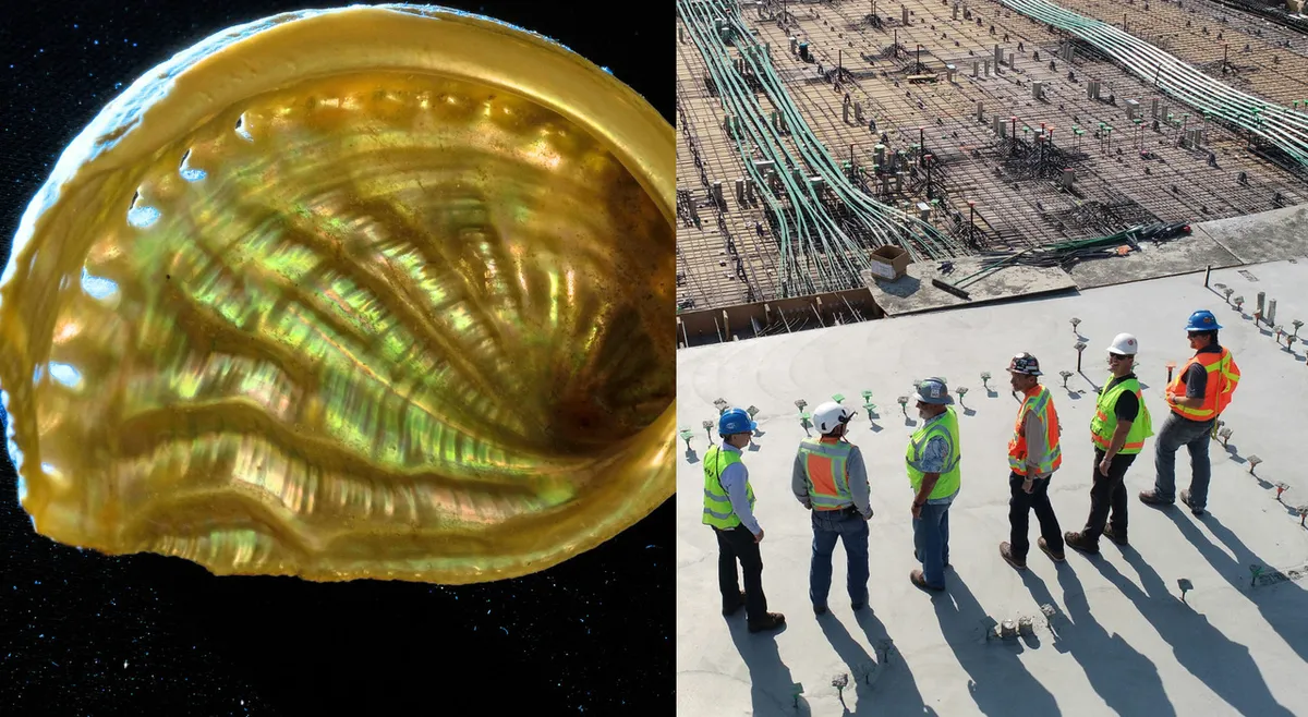 Pärlemor som inspiration: ny riktning för byggmaterial